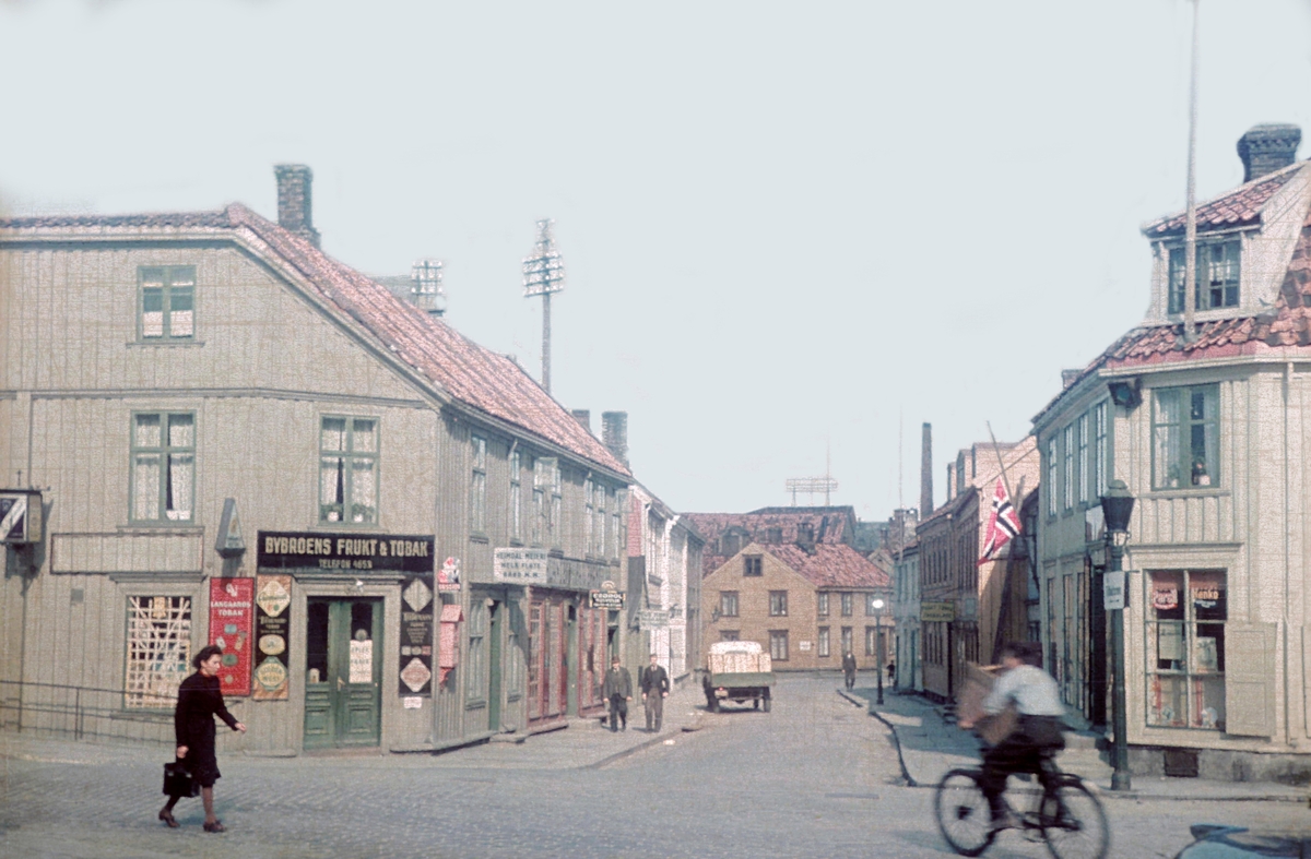 Flaggstang trøndelag