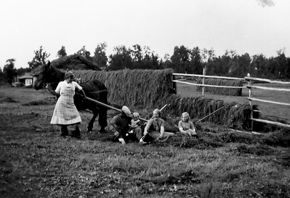 Anne og Amund Haugen hesjer (raie-hesjer) på Kvannberget seter i 1940 ...