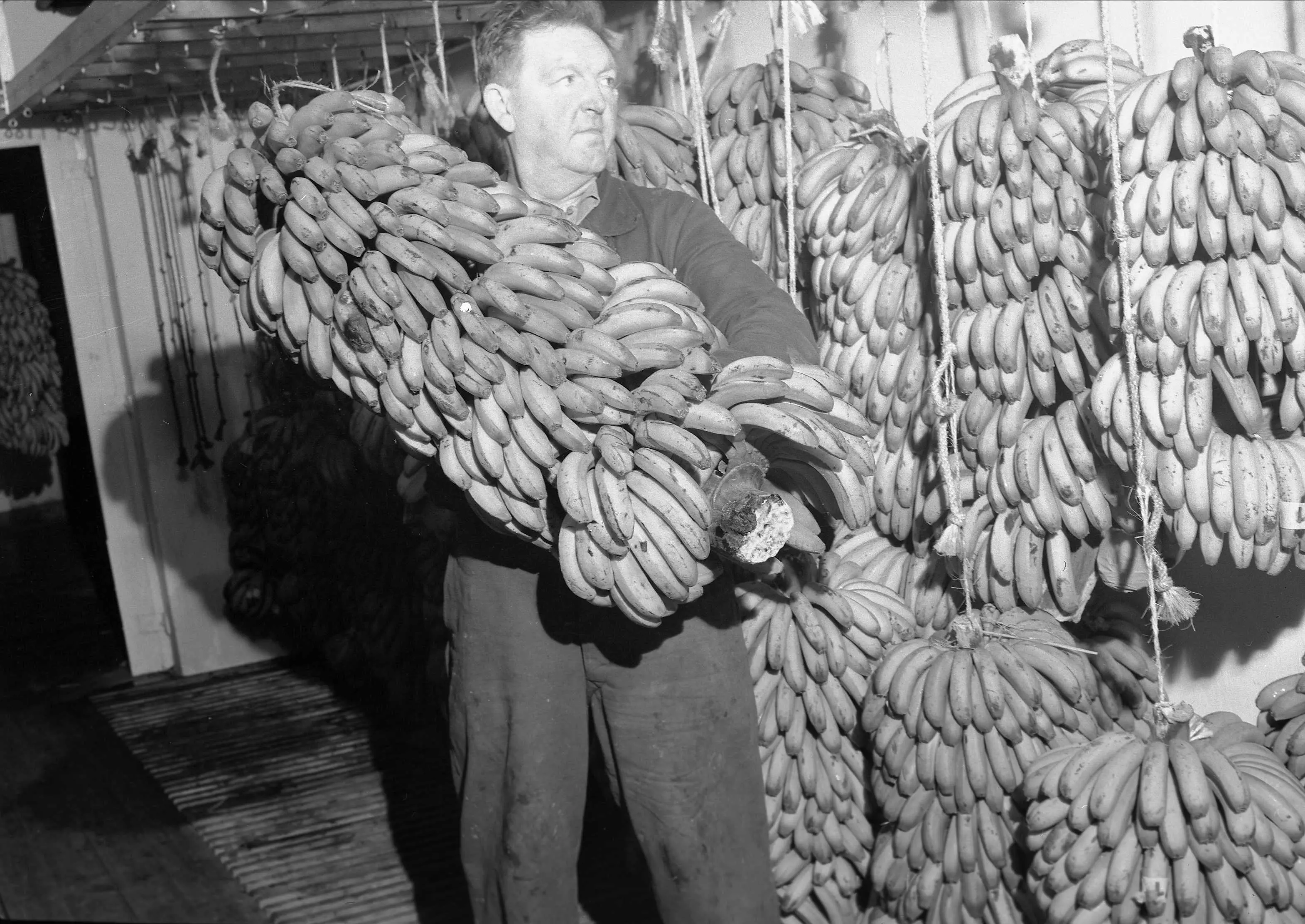 Oslo, 01.06.1956, Banan-Mathiesen, fra bananmodneriet. - Norsk ...